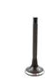 DNJ Engine Components Exhaust Valve