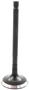 DNJ Engine Components Exhaust Valve