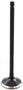 DNJ Engine Components Exhaust Valve