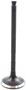 DNJ Engine Components Exhaust Valve
