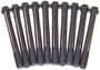 DNJ Engine Components Cylinder Head Bolt Set