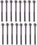 DNJ Engine Components Cylinder Head Bolt Set