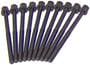 DNJ Engine Components Cylinder Head Bolt Set