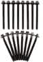 DNJ Engine Components Cylinder Head Bolt Set