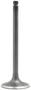 DNJ Engine Components Intake Valve