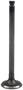 DNJ Engine Components Intake Valve