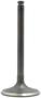 DNJ Engine Components Intake Valve