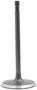 DNJ Engine Components Intake Valve