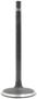 DNJ Engine Components Intake Valve