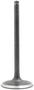 DNJ Engine Components Intake Valve