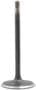DNJ Engine Components Intake Valve