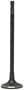 DNJ Engine Components Intake Valve