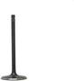 DNJ Engine Components Intake Valve