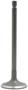 DNJ Engine Components Intake Valve
