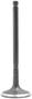 DNJ Engine Components Intake Valve