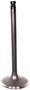 DNJ Engine Components Intake Valve