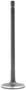 DNJ Engine Components Intake Valve