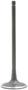 DNJ Engine Components Intake Valve