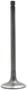 DNJ Engine Components Intake Valve
