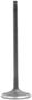 DNJ Engine Components Intake Valve