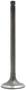 DNJ Engine Components Intake Valve
