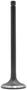 DNJ Engine Components Intake Valve
