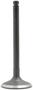 DNJ Engine Components Intake Valve
