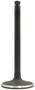 DNJ Engine Components Intake Valve