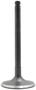 DNJ Engine Components Intake Valve