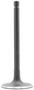 DNJ Engine Components Intake Valve