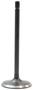 DNJ Engine Components Intake Valve