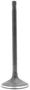 DNJ Engine Components Intake Valve