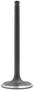 DNJ Engine Components Intake Valve