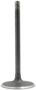 DNJ Engine Components Intake Valve