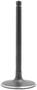 DNJ Engine Components Intake Valve