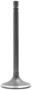 DNJ Engine Components Intake Valve