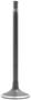 DNJ Engine Components Intake Valve