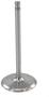 DNJ Engine Components Intake Valve