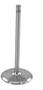 DNJ Engine Components Intake Valve
