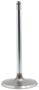 DNJ Engine Components Intake Valve
