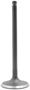 DNJ Engine Components Intake Valve