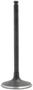 DNJ Engine Components Intake Valve