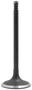 DNJ Engine Components Intake Valve