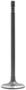 DNJ Engine Components Intake Valve