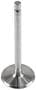 DNJ Engine Components Intake Valve