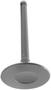 DNJ Engine Components Intake Valve