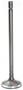 DNJ Engine Components Intake Valve