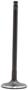 DNJ Engine Components Intake Valve
