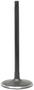 DNJ Engine Components Intake Valve