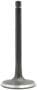 DNJ Engine Components Intake Valve
